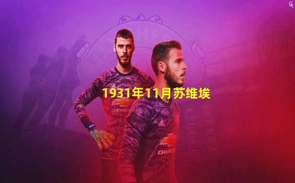 1931年11月苏维埃