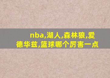 nba,湖人,森林狼,爱德华兹,篮球哪个厉害一点