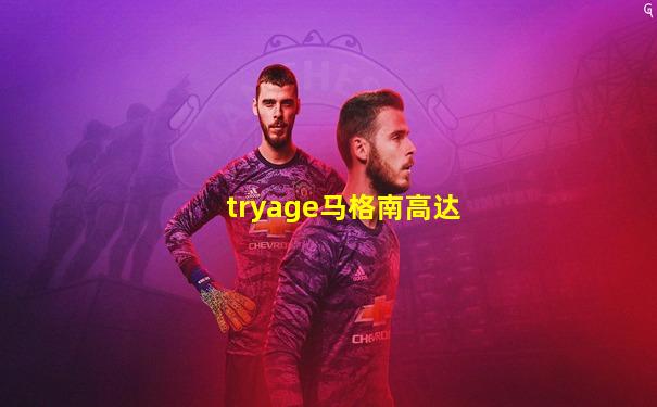 tryage马格南高达