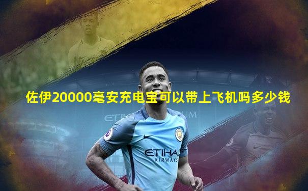 佐伊20000毫安充电宝可以带上飞机吗多少钱