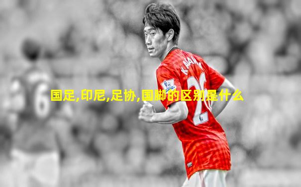 国足,印尼,足协,国脚的区别是什么