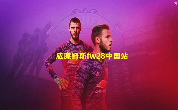 威廉姆斯fw28中国站