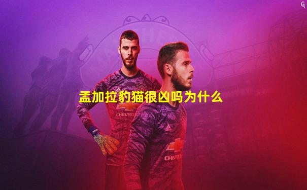 孟加拉豹猫很凶吗为什么
