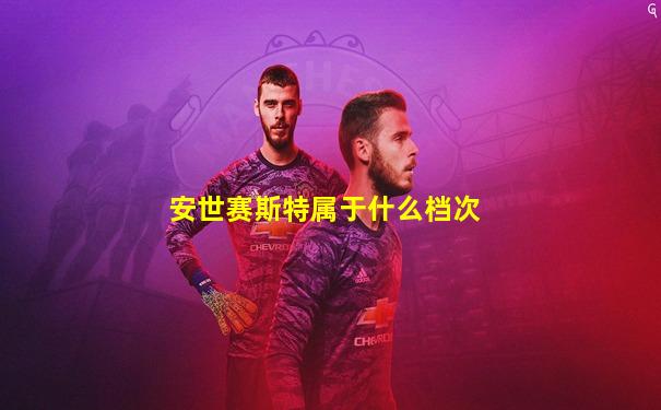 安世赛斯特属于什么档次
