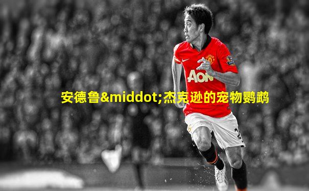 安德鲁·杰克逊的宠物鹦鹉