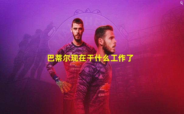 巴蒂尔现在干什么工作了