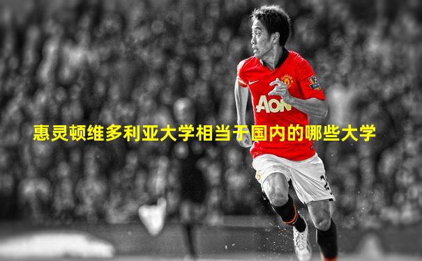 惠灵顿维多利亚大学相当于国内的哪些大学