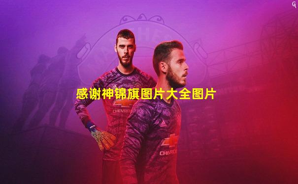 感谢神锦旗图片大全图片