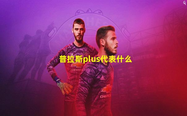 普拉斯plus代表什么
