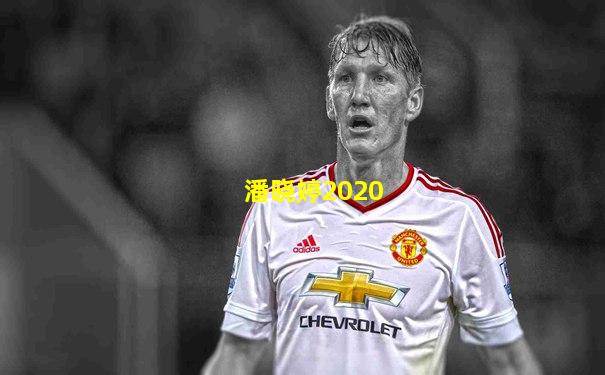 潘晓婷2020