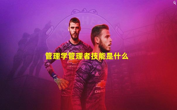 管理学管理者技能是什么