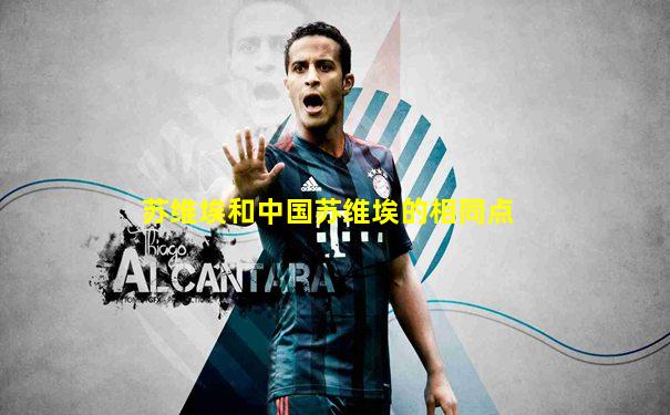 苏维埃和中国苏维埃的相同点