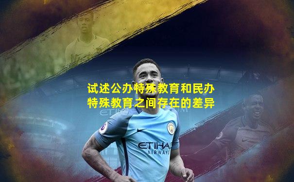 试述公办特殊教育和民办特殊教育之间存在的差异