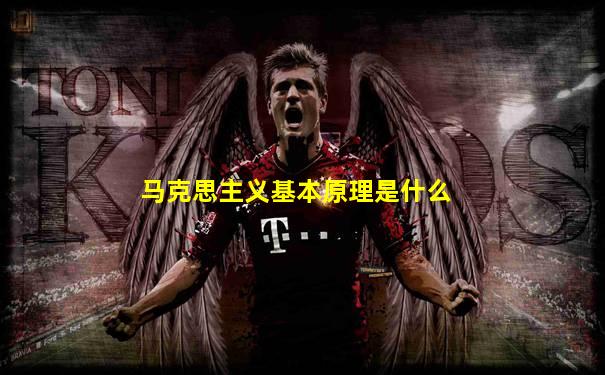 马克思主义基本原理是什么