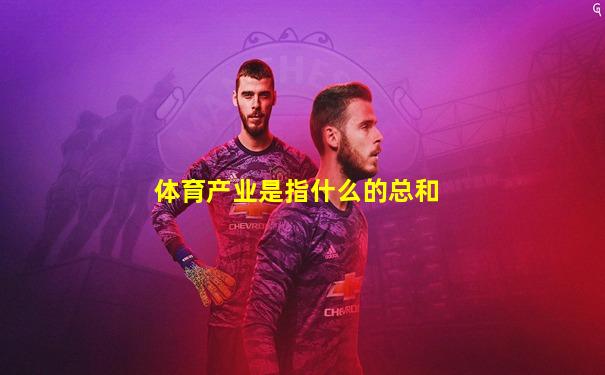 体育产业是指什么的总和