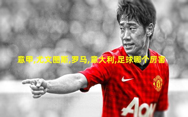 意甲,尤文图斯,罗马,意大利,足球哪个厉害