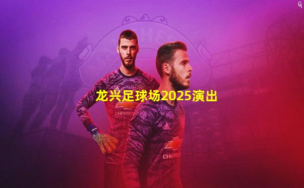 龙兴足球场2025演出